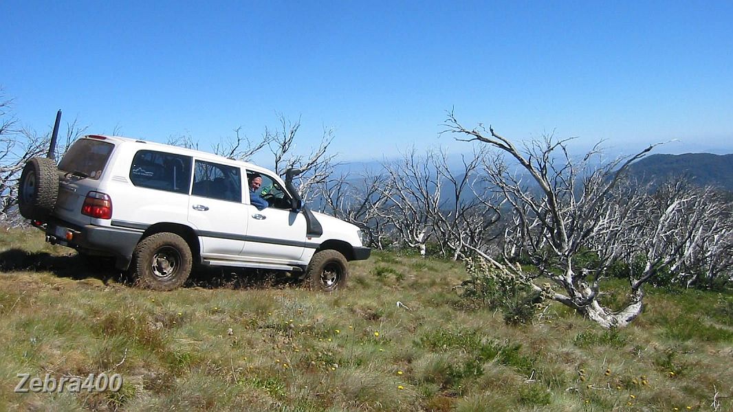 23-Lofty enjoys the views on the Shady Creek Track en route to Mt Pinnibar.JPG